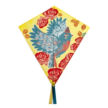 Sárkány - Bird - Djeco