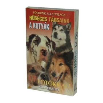 Hűséges társaink: A kutyák - kvíz kvartett
