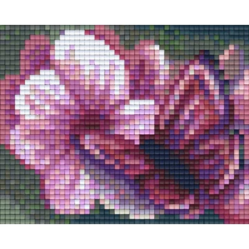 Pixel Pillangó 1 (1 alaplapos)