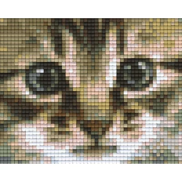 Pixel Cica (1 alaplapos)