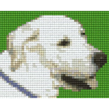 Pixel Dog Paco (1 alaplapos)