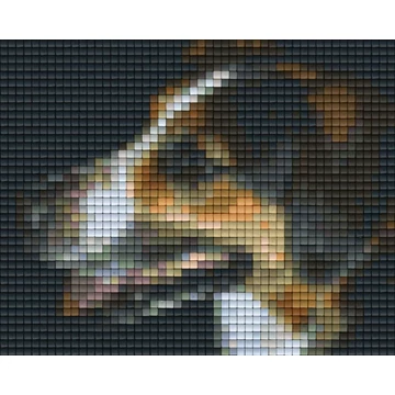 Pixel Ronja  (1 alaplapos)