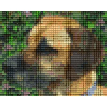 Pixel Dog Kenya  (1 alaplapos)