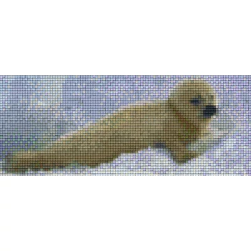 Pixel Fóka (2 alaplapos)