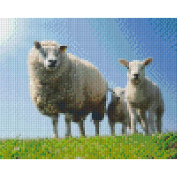 Pixel Bárány család