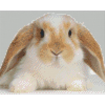 Pixel Nyúl ( 4 alaplapos )