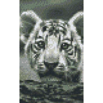 Pixel Tigris (2 alaplapos)