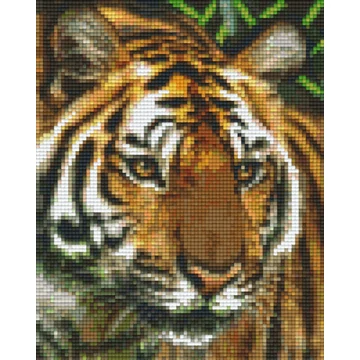 Pixel Tigris ( 4 alaplapos )