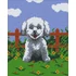 Kép 1/2 - Pixel Kutya ( 4 alaplapos )